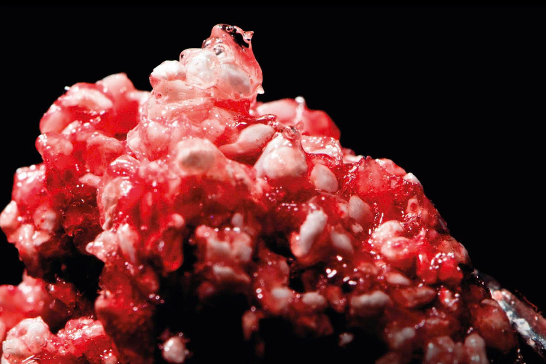 OsteoBiol Apatos (6)