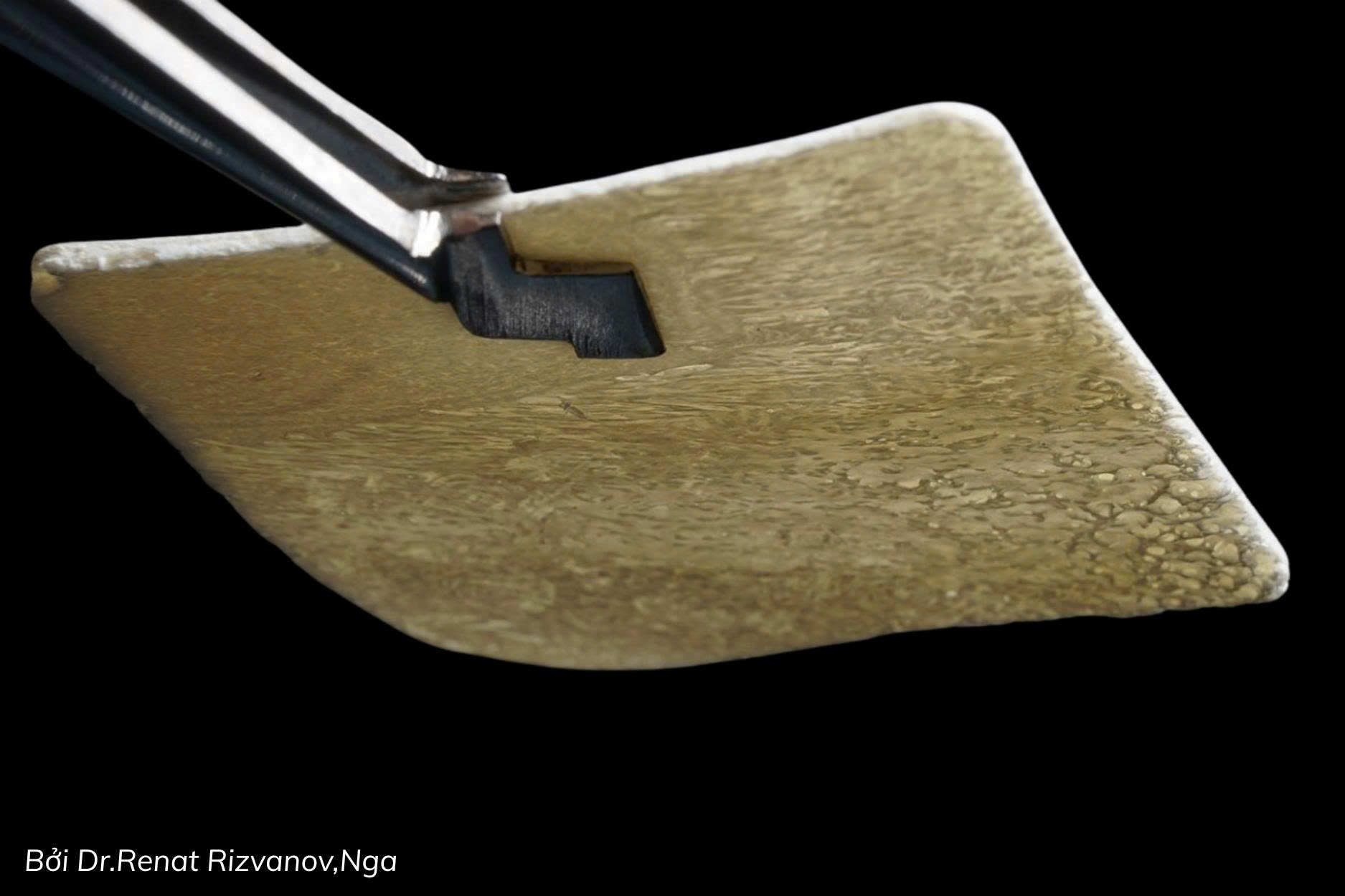 Osteobiol Lamina (8)